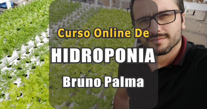 Curso de Hidroponia do Bruno Palma